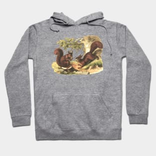 RED SQUIRRELS Hoodie